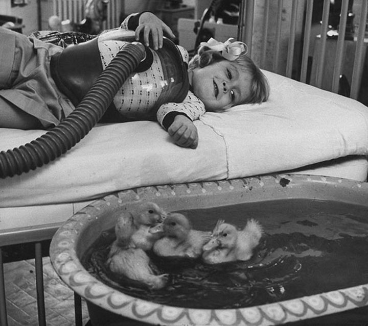 21 Historical Photos - Early use of ducks being used as part of medical therapy at the University of Michigan's hospital at Ann Arbor, 1956.