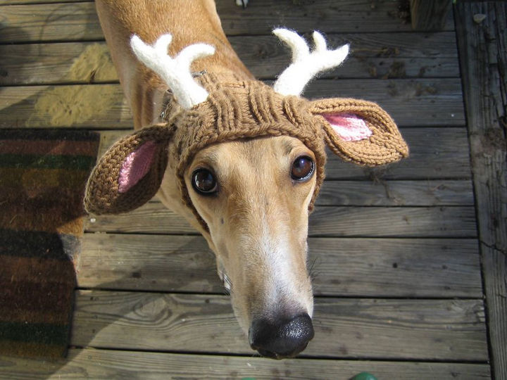 21 Crocheted Winter Hats - Deer Antler Snood/