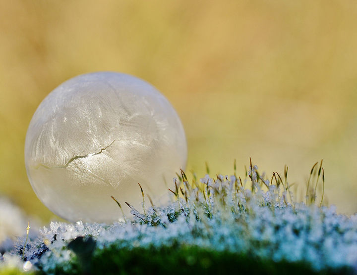 22 Ice and Snow Formations - Frozen soap bubbles - 2.