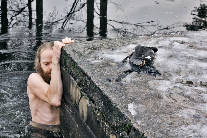 He then quickly swam back to shore and lay the duck onto the docks. The bird ingested a lot of water and Lars performed mouth-to-mouth resuscitation to help save him.