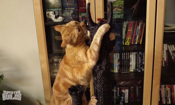 They definitely do like it with Frodo and Sam already climbing the scratching post.