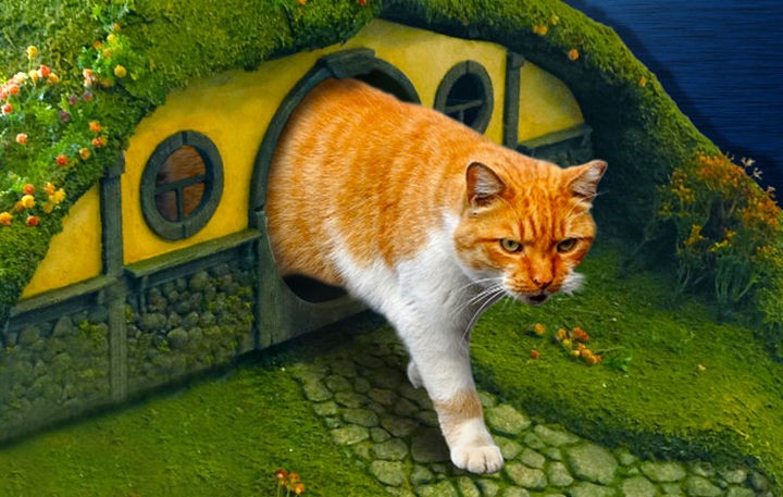 They are the luckiest cats ever with their LOTR custom-built litter box and scratching post.