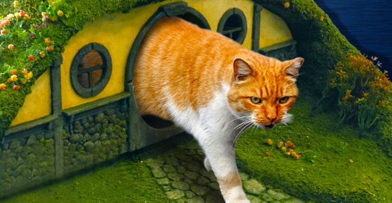 Super-Fan Creates Lord of The Rings Litter Box and Sauron Scratching Post