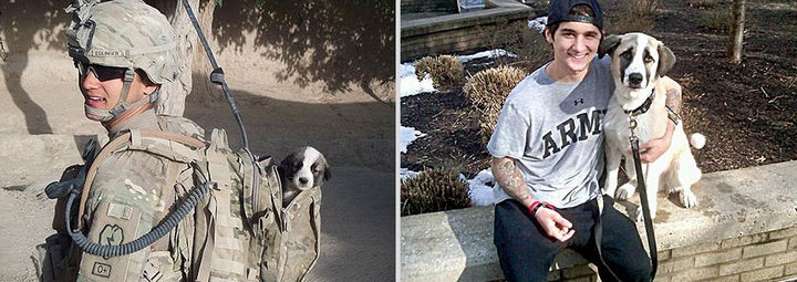 24 Before and After Photos of Pets and Their Humans - 5 month difference.