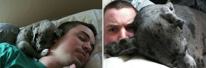 24 Before and After Photos of Pets and Their Humans - 1 year difference.