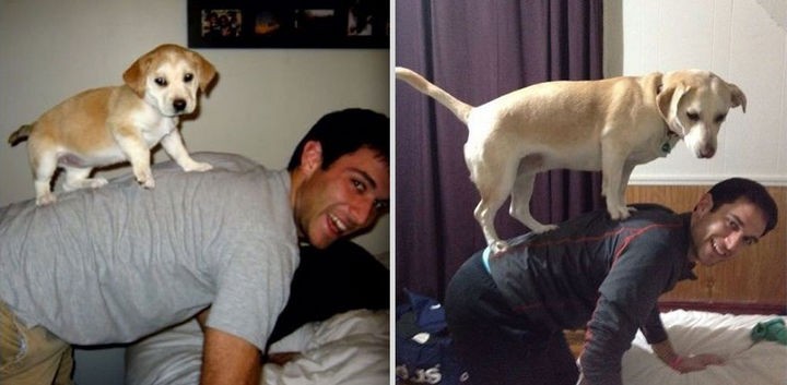 24 Before and After Photos of Pets and Their Humans - 3 year difference.