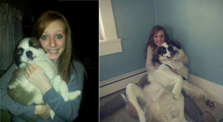 24 Before and After Photos of Pets and Their Humans - 1 year difference.