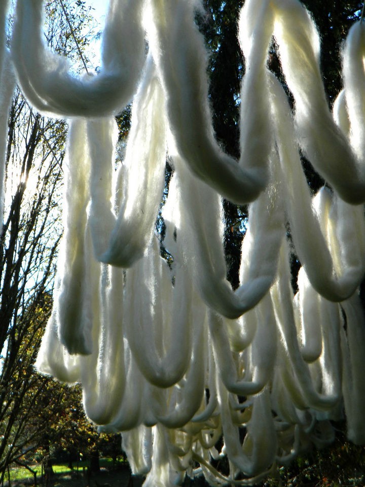 She hung the wool out to dry and soon had wool that was ready to knit.