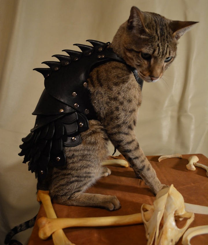 Your cat will strike fear in anyone with this Cat Battle Armor.