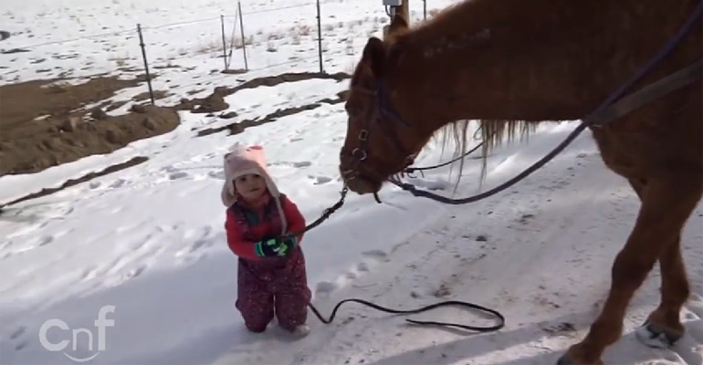 A Sweet Little Toddler Takes Her Best Friend Cinnamon for a Walk and It’s Adorable