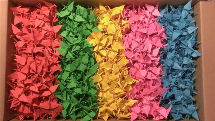 19 Photos Perfectionists Will Love - A perfect box of origami cranes.
