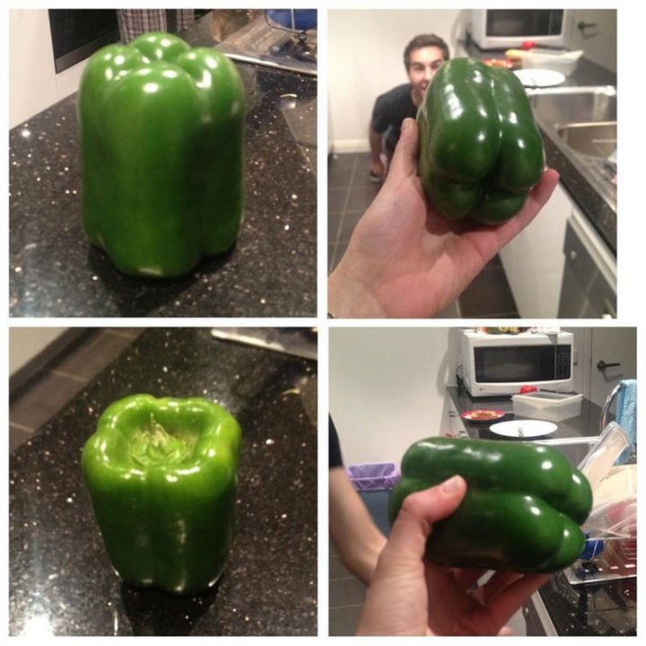 19 Photos Perfectionists Will Love - A perfectly shaped green pepper.
