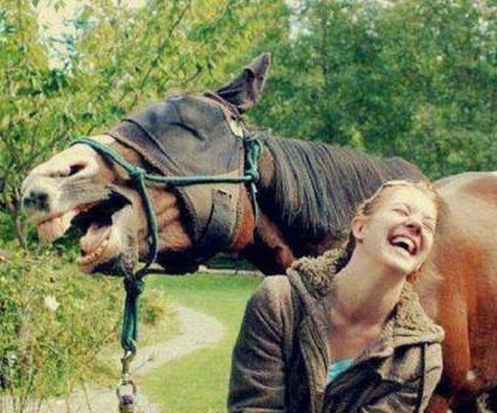 Horse laughing with its trainer.