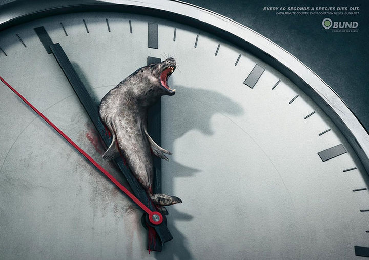 36 Social Awareness Posters - BUND: Every 60 Seconds a Species Dies Out. Each Minute Counts. Each Donation Helps.