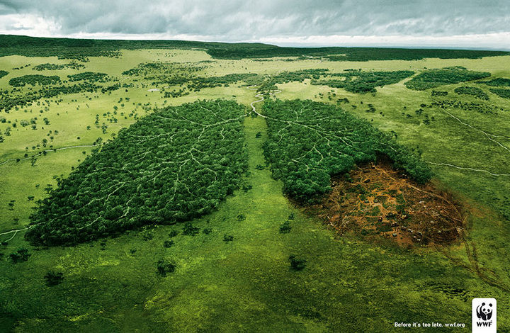 36 Social Awareness Posters - World Wildlife Fund (WWF): Before it's too late.