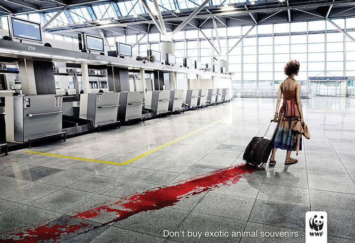 36 Social Awareness Posters - World Wildlife Fund (WWF): Don’t buy exotic animal souvenirs.