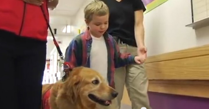 Golden Retriever Helps Young Boy with Traumatic Brain Injury TBI.