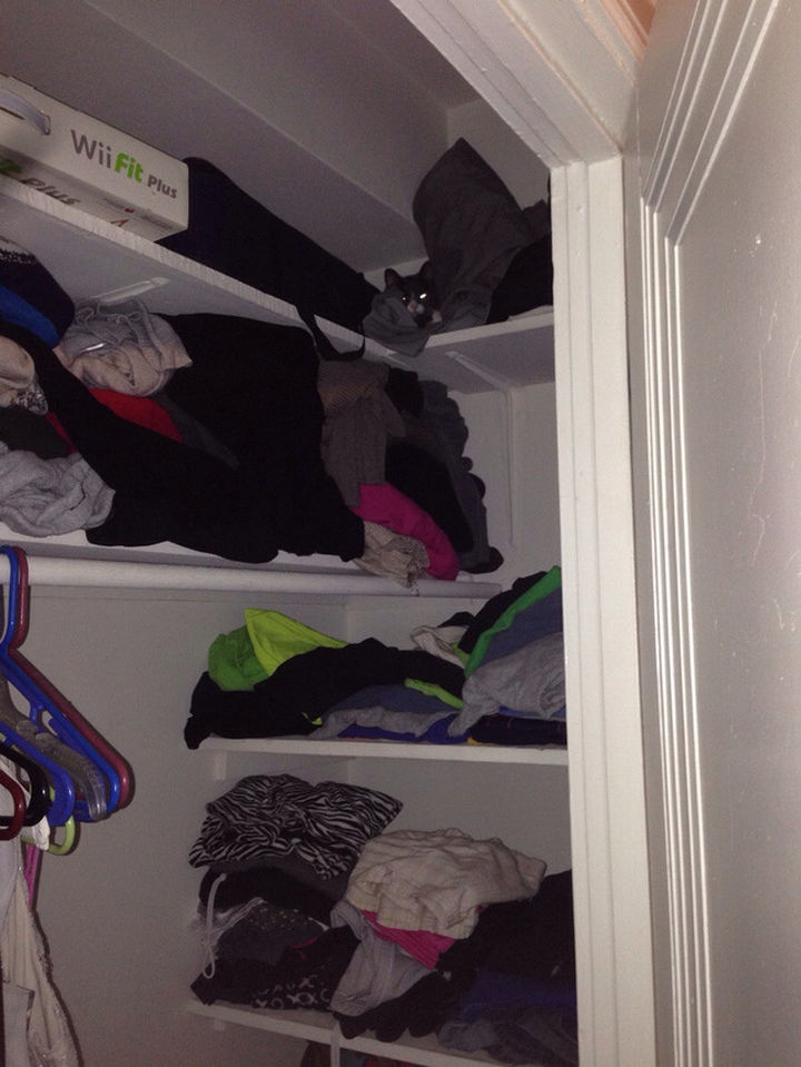 27 Stealthy Ninja Cats - Hiding in the closet is way too easy!