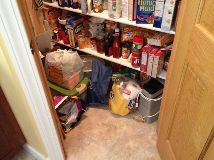 27 Stealthy Ninja Cats - Paper towels are better than any cat toy.