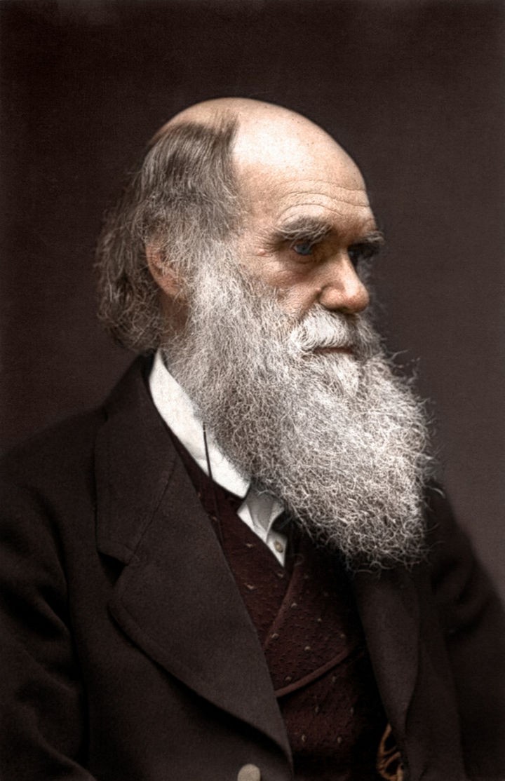 58 Colorized Photos from the Past - Charles Darwin.