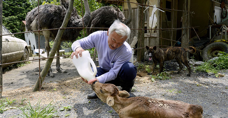 After the Fukushima Disaster in Japan, This Man Went Back to Save the Animals