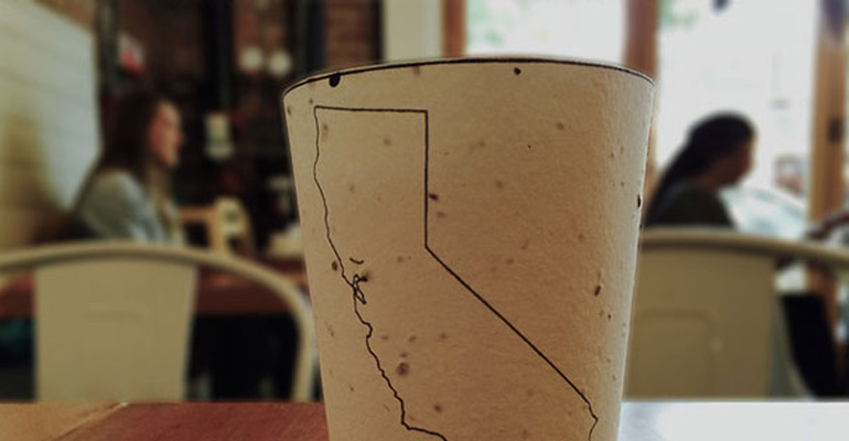 Instead of Ending up at a Landfill, This Used Coffee Cup Will Grow into Flowers and Trees