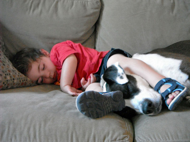 Reasons You Shouldn't Own a Pit Bull - They're always rough with children.