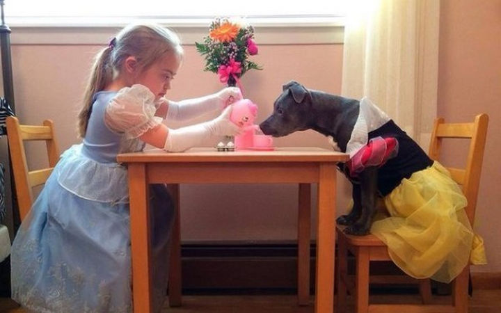 Reasons You Shouldn't Own a Pit Bull - Your children won't invite you to tea parties anymore.