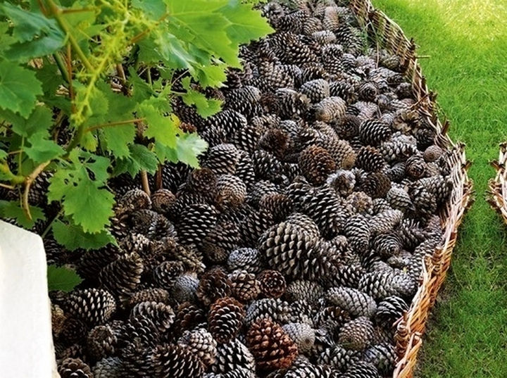 34 DIY Backyard Ideas for the Summer - Collect your pine cones and use them for flower bedding instead of wood chips or rocks.
