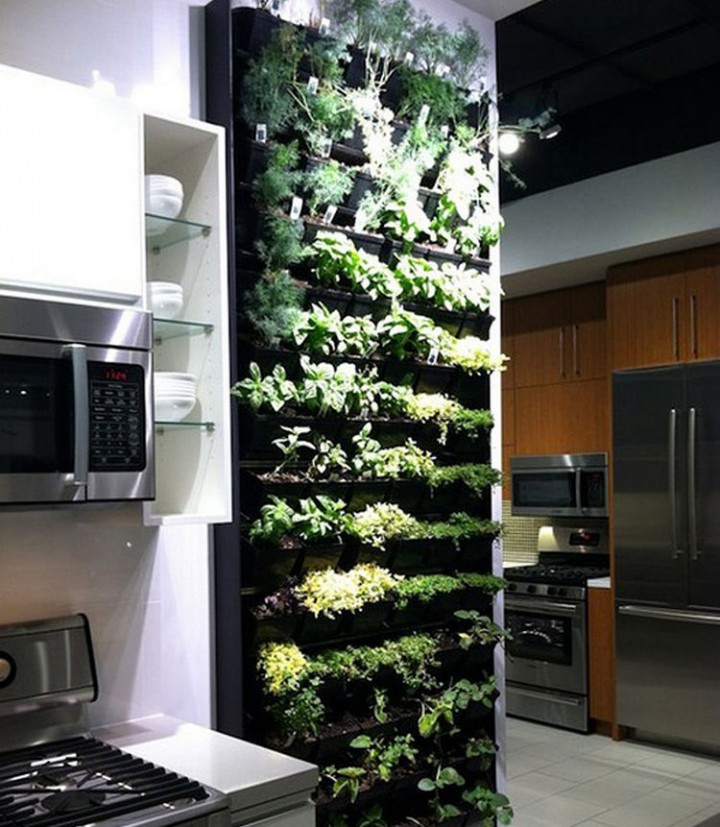 Build an indoor herb garden in your kitchen or other room that has plenty of natural light - 37 Home Improvement Ideas