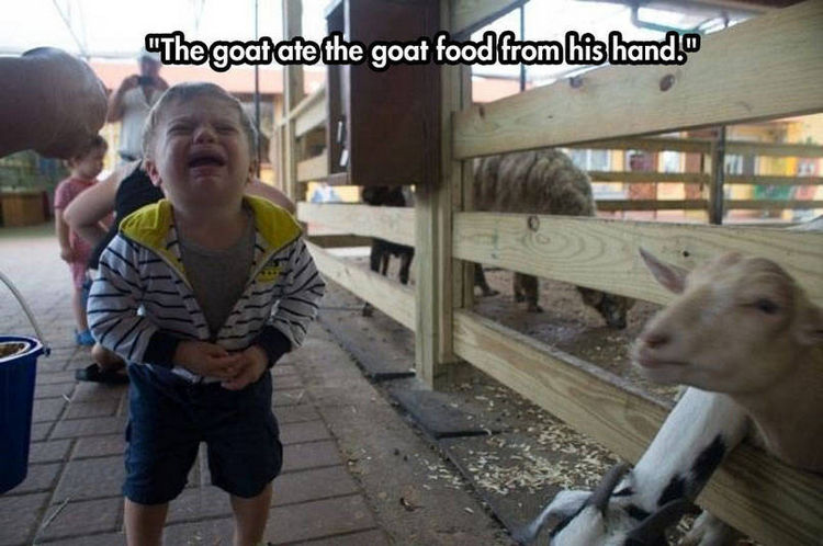 37 Photos of Kids Losing It - The goat ate the goat food from his hand.