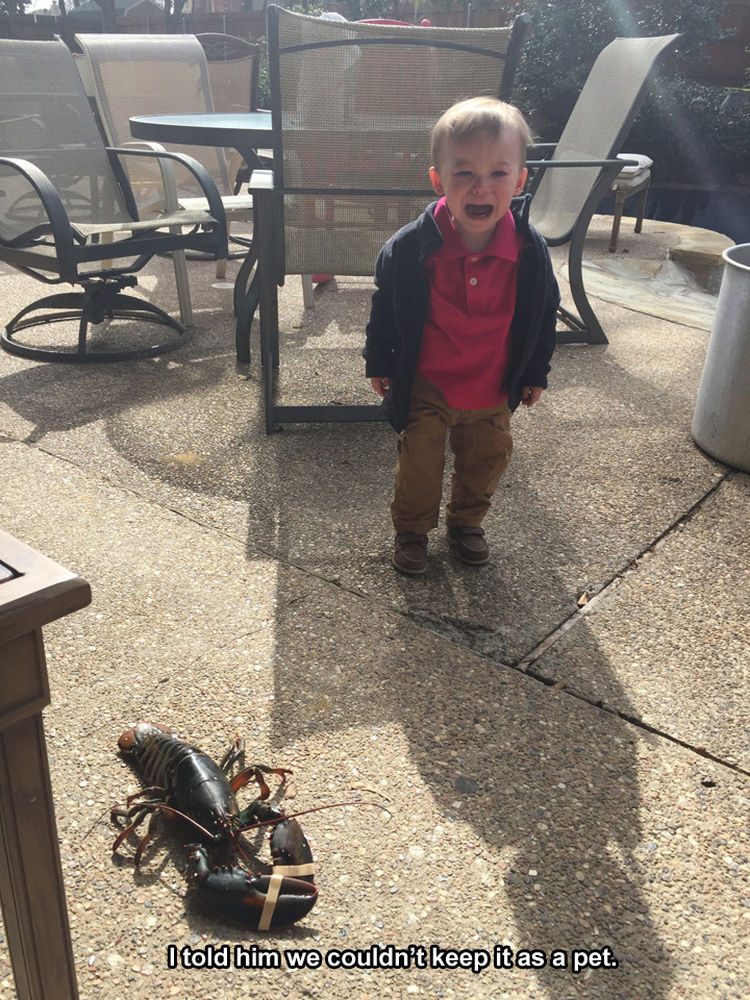 37 Photos of Kids Losing It - I told him we couldn't keep it as a pet.