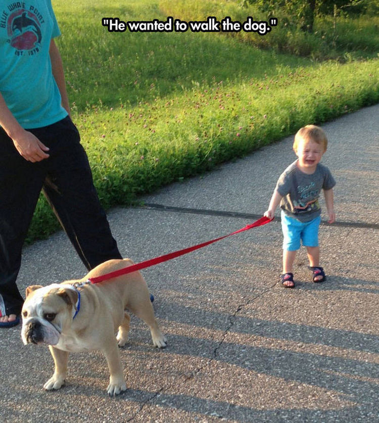 37 Photos of Kids Losing It - He wanted to walk the dog.