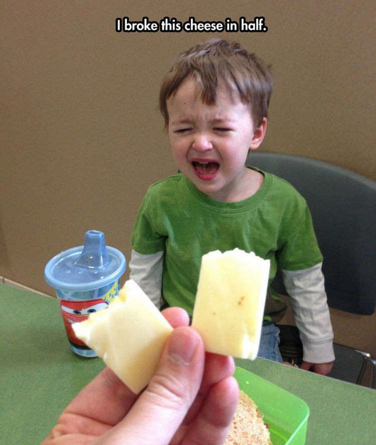 37 Photos of Kids Losing It - I broke this cheese in half.