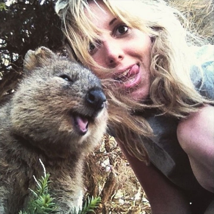 Quokka Selfie Trend - Image 18.