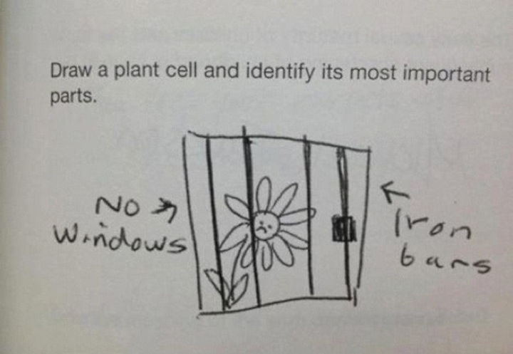 25 Funny Test Answers From Funny Kids - Poor plant.