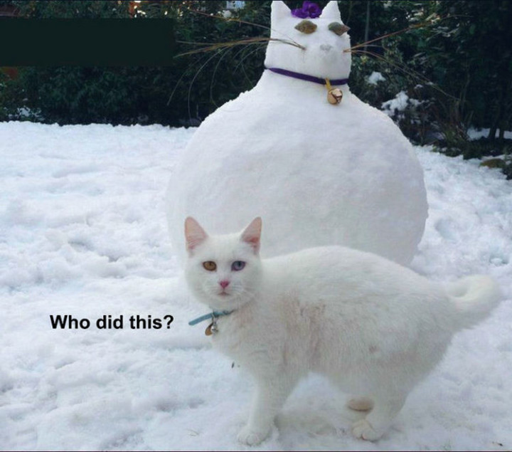 75 Incredibly Funny Pictures - "Who did this?"