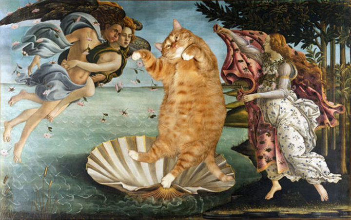 Fat Cat Photobombs Famous Paintings - The Birth of Venus, Sandro Botticelli (1486).