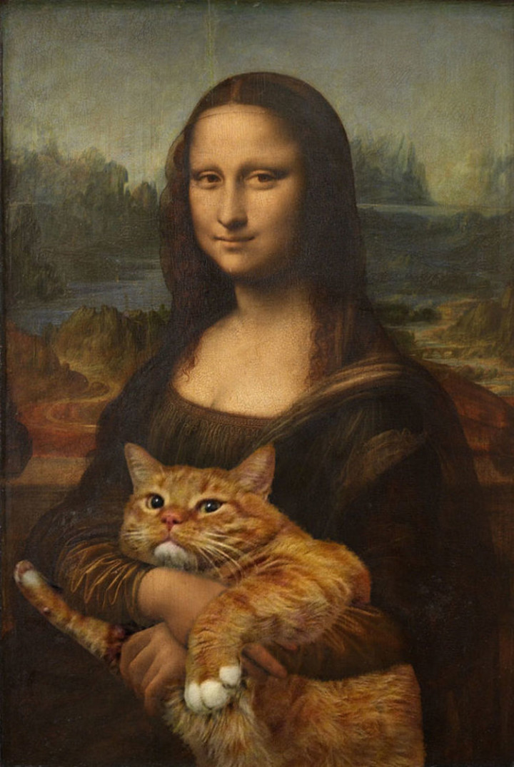 Fat Cat Photobombs Famous Paintings - Mona Lisa, Leonardo da Vinci (1503-1506)