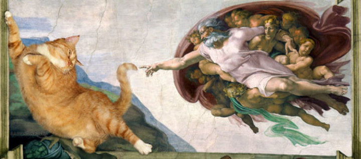 Fat Cat Photobombs Famous Paintings - The Creation of Adam, Michelangelo (1511-1512).