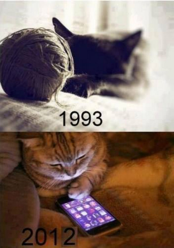 20 Ways Technology Has Changed Our Lives - Even pets are trading up past favorites in favor of new tech gadgets.