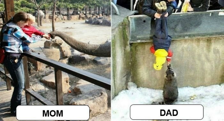 22 Ways Parenting Styles Differ Between Moms and Dads - Parents love to let their kids experience animals at the zoo.