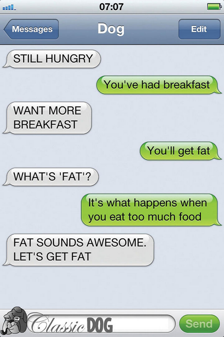 22 Dog Texts - Dogs are ALWAYS hungry.