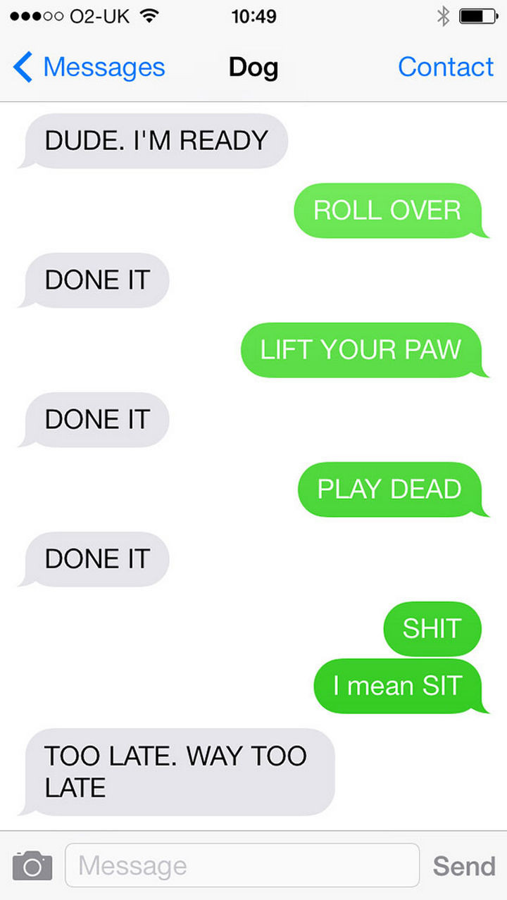 22 Dog Texts - Ask and you shall receive.