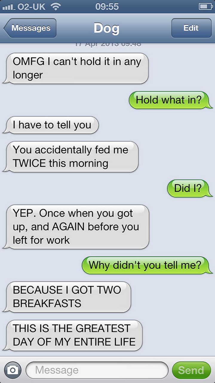 22 Dog Texts - Two is better than one!