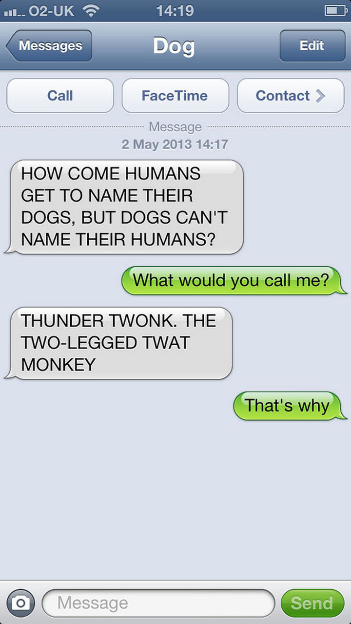 22 Hilarious Text Messages If Dogs Could Text - Not a good idea.
