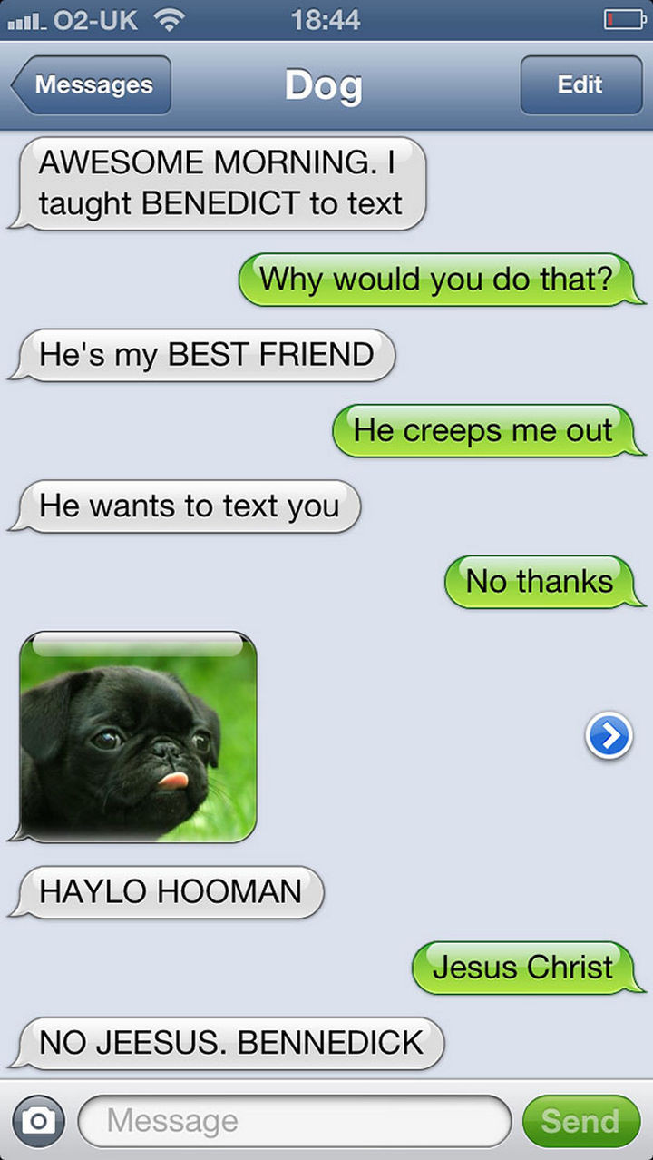 22 Hilarious Text Messages If Dogs Could Text - Haylo Hooman.