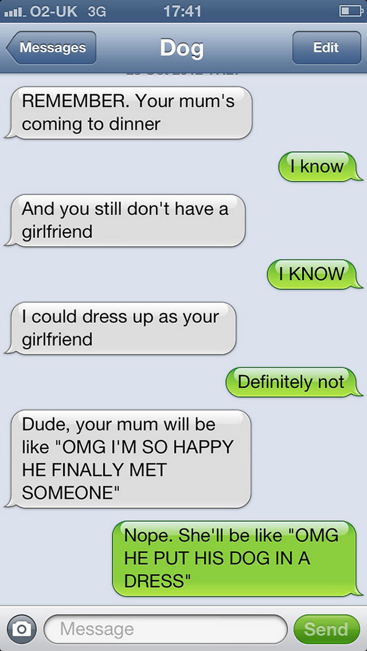 22 Hilarious Text Messages If Dogs Could Text - It might work...