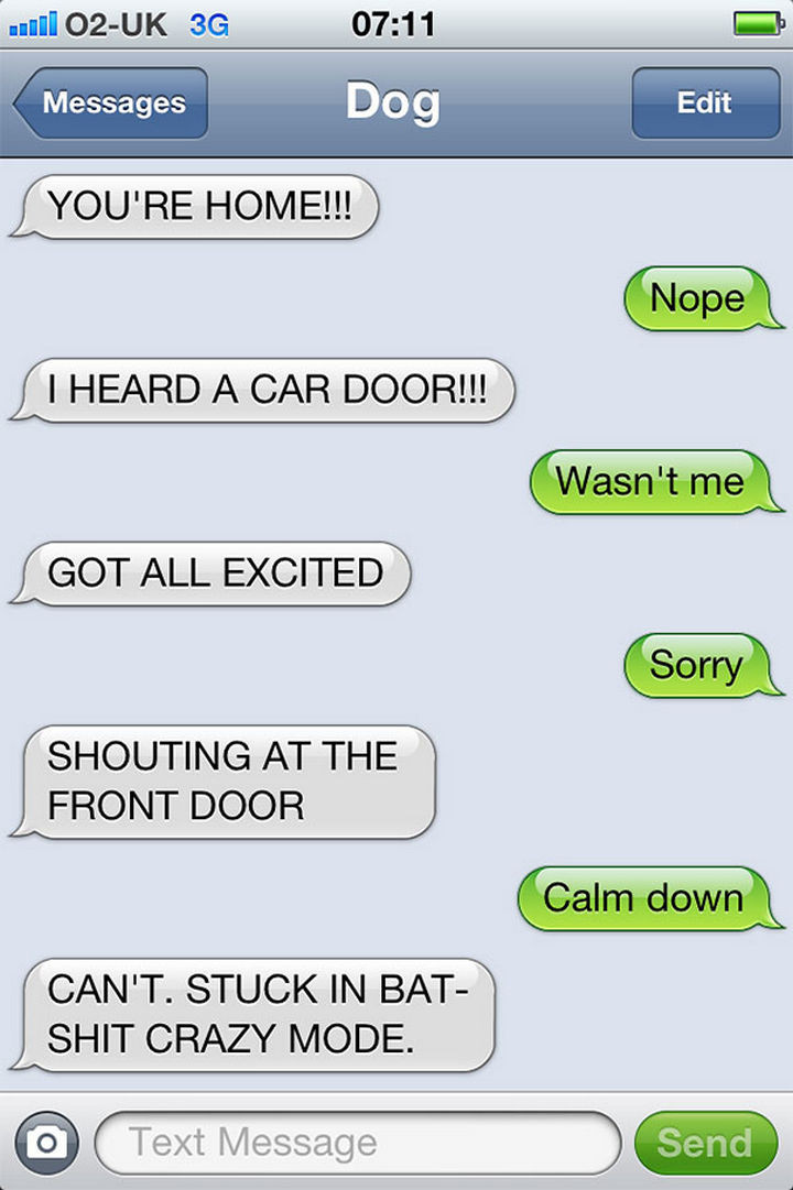 22 Hilarious Text Messages If Dogs Could Text - Dogs love it when their owner arrives home.