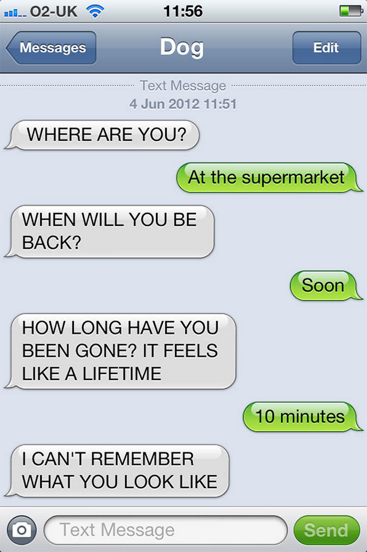 22 Hilarious Text Messages If Dogs Could Text - Dogs and the concept of time.